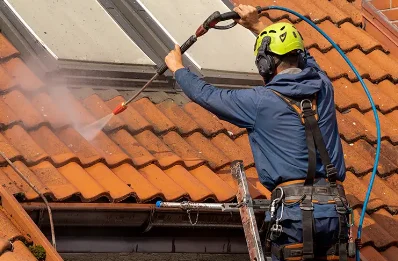 Démoussage et hydrofuge de toiture à Pérouille